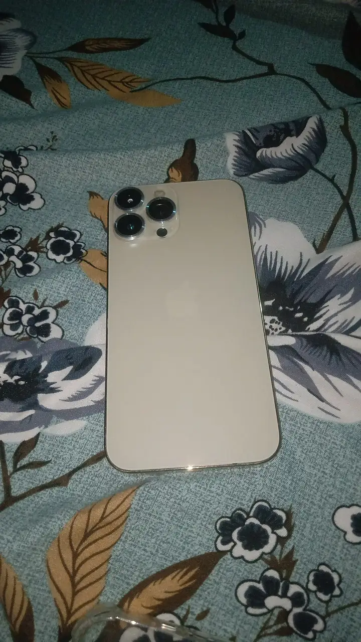 Apple iPhone 13 Pro Max factory unlocked 256gb wp
